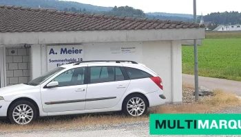Alois Meier - Fislisbach