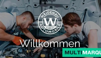 Auto Weidenau Wabern - Wabern Bei Bern