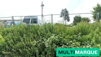 Automuki - Dietikon