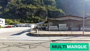 Autors Sa Ford - Biasca
