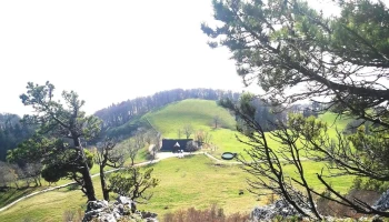 Bergwirtschaft Hofbergli - Günsberg
