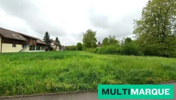Buzli's Art-Lackierung - Roggwil