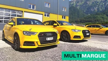 Fahrschule Surber - Interlaken