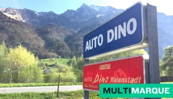 Garage Auto Dino, Klaus Bühlmann - Walenstadt