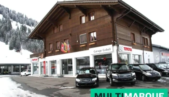 Garage Carrosserie Gobeli Ag - Lenk