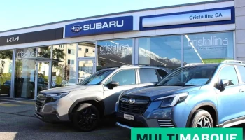 Garage Cristallina - Ascona