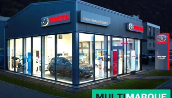 Garage Golena Sa - Centro Toyota Bellinzona - Arbedo-Castione