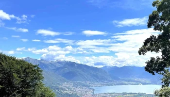 Grotto la Ginestra da Ghilardi - Ronco Sopra Ascona