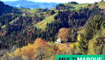 Lushütte Alpwirtschaft - Trub