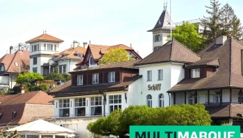 Schiff am See - Murten