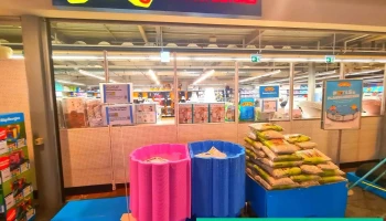 Smyths Toys Superstore Lyssach - Lyssach