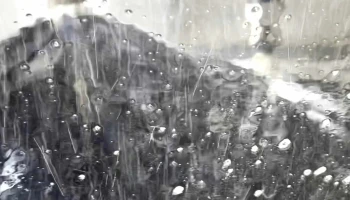 Softcarwash Turgi - Turgi