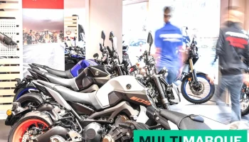 Stahlmoto - Yamaha - Moto Guzzi - Honda - Zontes - St. Gallen