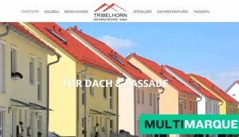 Tribelhorn Dachbautechnik GmbH - Holzbau, Bedachungen, Spenglerei, Dachreparaturen Baselland - Nenzlingen
