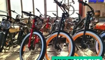 Vully bike - Salavaux Vd