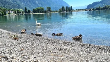 Walenstadt - Schweiz