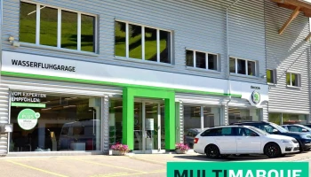 Wasserfluhgarage Ag - Lichtensteig