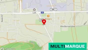 Wildi Mofas - Schafisheim