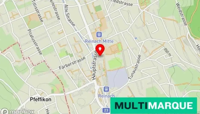 Karte von 5734 Reinach AG Immobilienagentur in Reinach