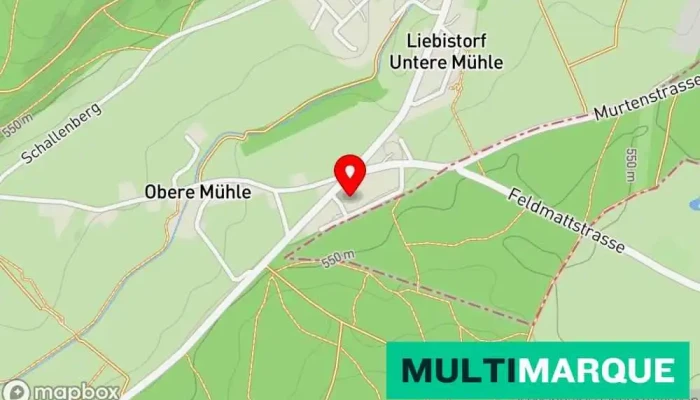 7 Cars Garage Gurmels -  Liebistorf 1 - Liebistorf