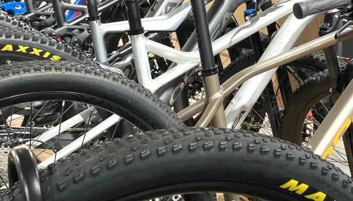 Alto Vedeggio Bike Rivera -  Vom Inhaber - Rivera