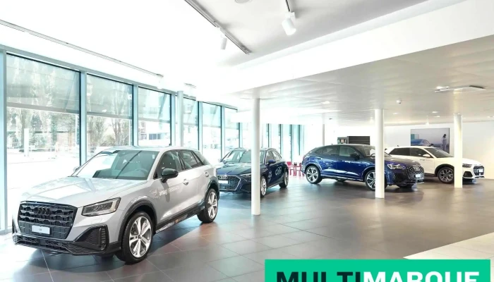 Amag Giubiasco Audi -  Alle - Giubiasco