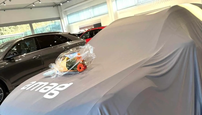 Amag Giubiasco Audi -  Autohandler - Giubiasco