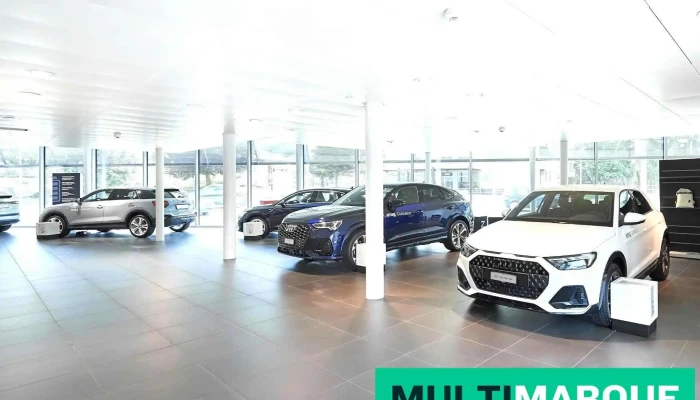 Amag Giubiasco Audi -  Vom Inhaber - Giubiasco