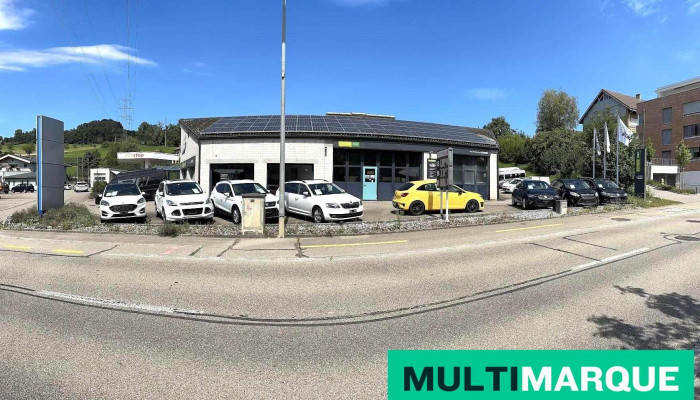 Amgw Ag - Auto Mobil Garage - Ormalingen