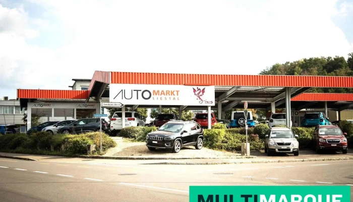 Aml Auto -  Markt Liestal Alle - Liestal