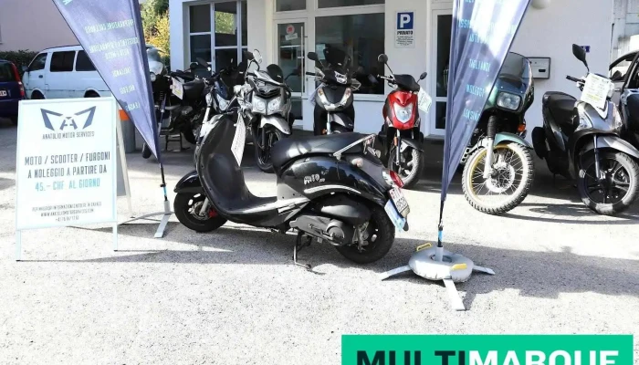Anatolio Motor Services Sagl - Massagno