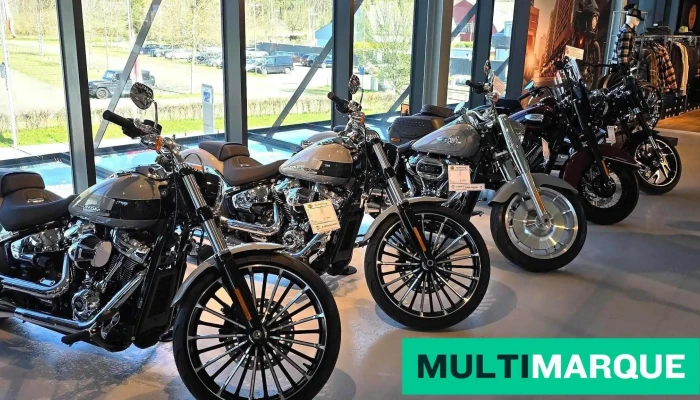 Arni Motorcycles Ag Harley-Davidson Bern - Belp