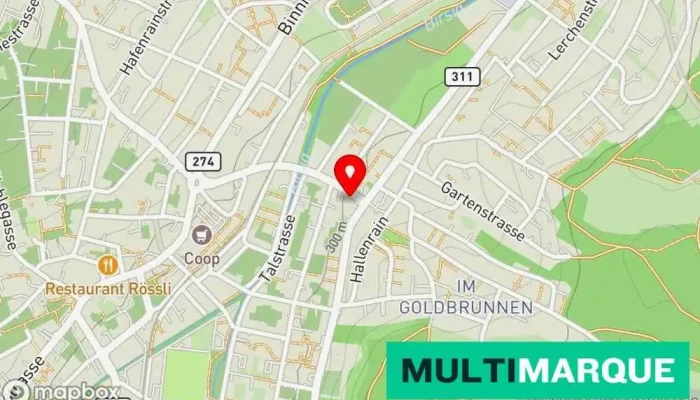 Auto -  Dealer   Partnerhandler Karte - Oberwil