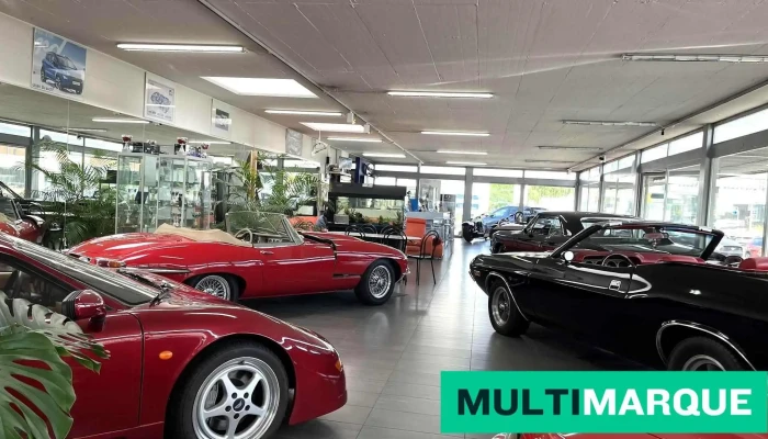Auto Gotte Ag Alle - Reinach