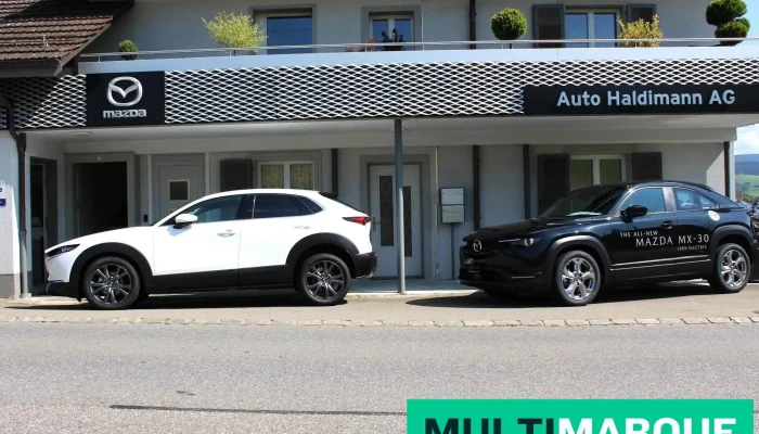 Auto Haldimann Ag - Grosshöchstetten