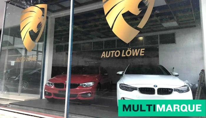 Auto Löwe - Wikon