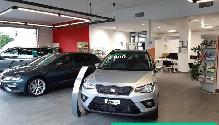 Auto Storelli -  Innenansichten - Ascona