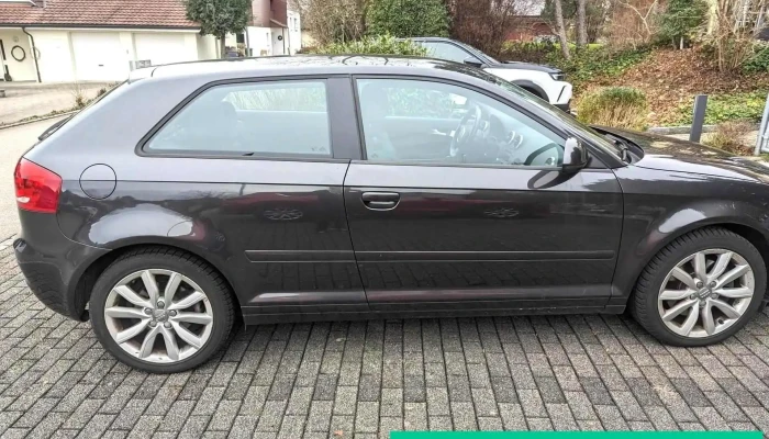 Auto Style Kotaich Alle - Zwingen
