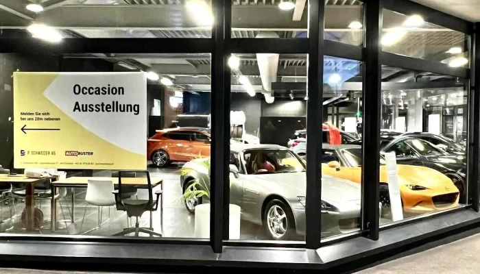 Autobuster Auto Verkaufen Leicht Gemacht Innenansichten - Liestal