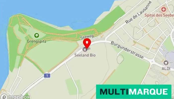 Karte von AutoPark Morina AG Autohändler in Murten