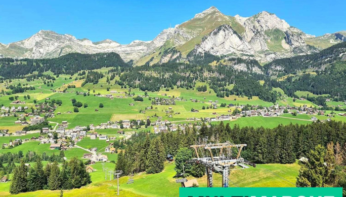 Bergbahnen Wildhaus - Wildhaus