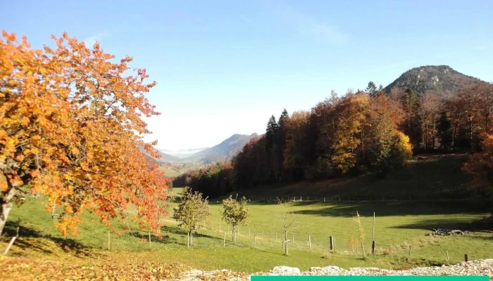 Berghof Montpelon -  Vom Inhaber - Gänsbrunnen