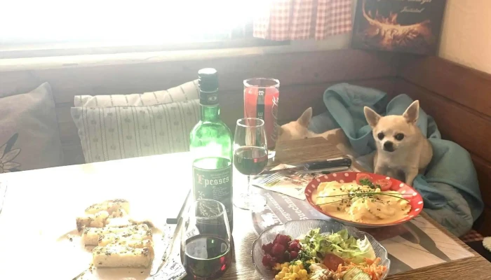 Bergrestaurant Buechmatt -  In Meiner Nahe - Wolfisberg