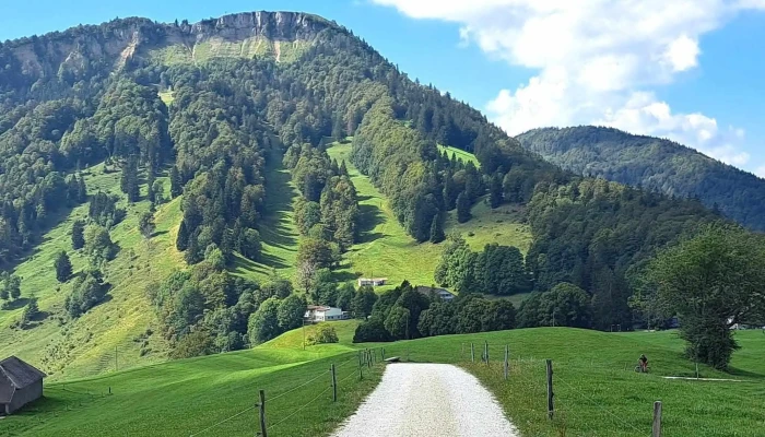 Bergwirtschaft Hofbergli -  Nummer - Günsberg