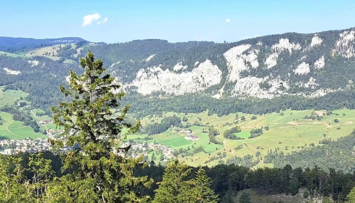 Bergwirtschaft Hofbergli -  Telefon - Günsberg