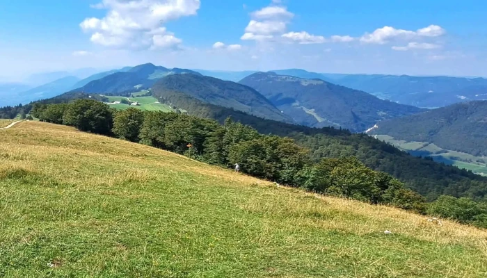 Bergwirtschaft Hofbergli -  Wegbeschreibung - Günsberg