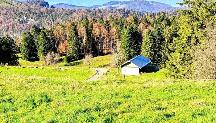 Bergwirtschaft Matzendorfer Stierenberg Jungscharhaus Brunnersberg - Mümliswil-ramiswil