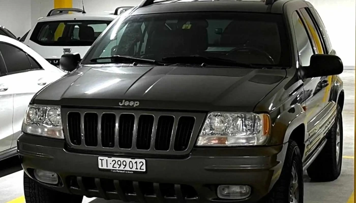Bertoni Automobili Sa Renault Nissan Jeep Peugeot Fiat Abarth Autohandler - Ascona