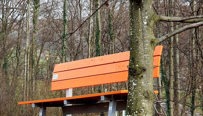 Blkb Rastplatz Schlossbankli Laufelfingen Kommentare - Läufelfingen