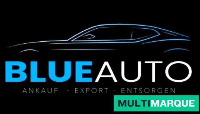 Blue Auto Daou GmbH - Walenstadt